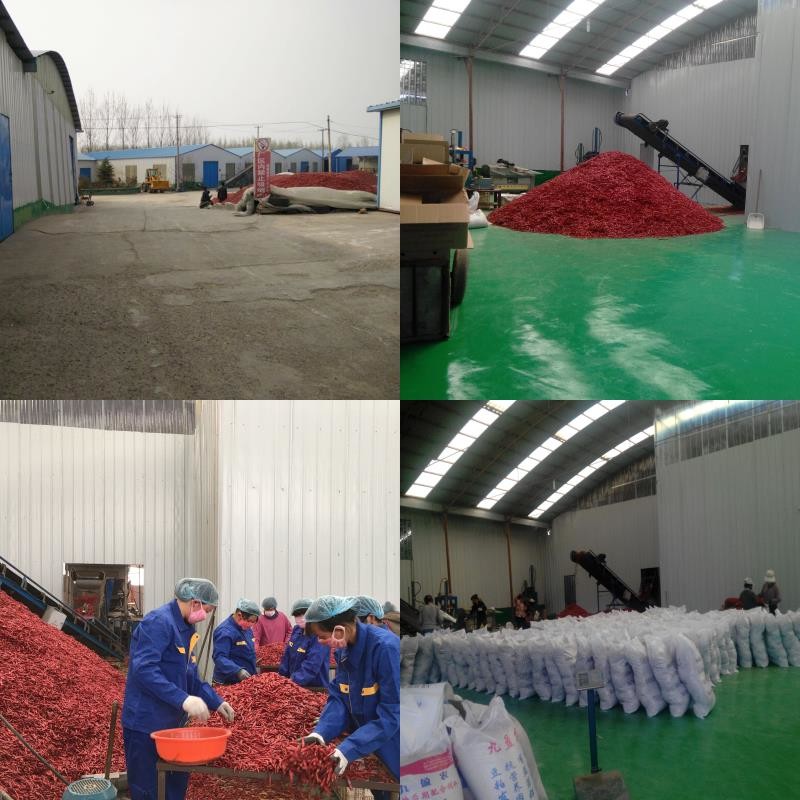 Çin Neihuang Xinglong Agricultural Products Co. Ltd şirket Profili