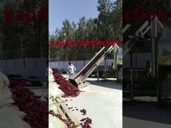 Çin'de paprika temizleme işlemi