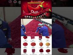 Baharat Fabrikası 03