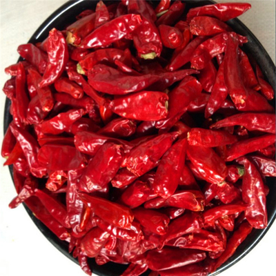 Kırmızı biberli biberli biberli biberli biberli biberli biberli