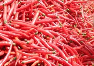 Baharatlı Kuru 1KG Kuş Gözü Çili İçerikleri Eşsiz Tadı Sağlıyor