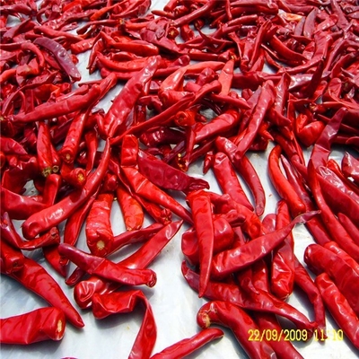 Hafif Isı Tatlı Kurutulmuş Paprika Biber %1 Maksimum Safsızlık 15Cm