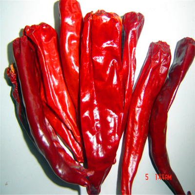 %99 Saflıkta Kurutulmuş Kırmızı Biber Sapsız 10kg/25kg Poşet Ağırlığı