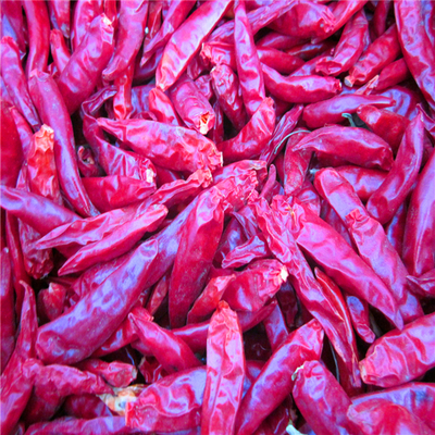 4-7cm Cayenne Kurutulmuş Kırmızı Biberler Depolama Şartları Soğuk ve Kuru Yer