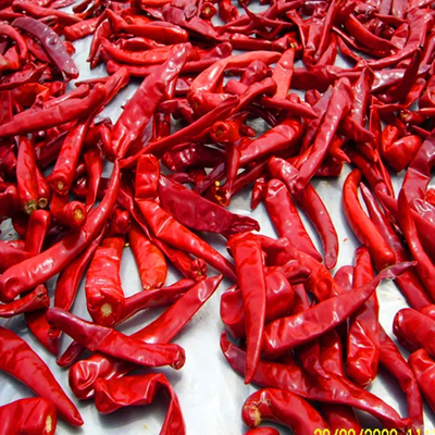 10 kg birim ağırlığı %12'lik maksimum nem içeriğine sahip çili