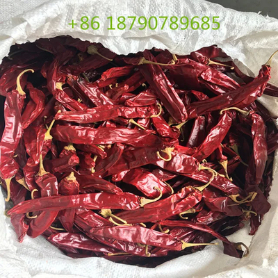 Doğal kırmızı renkte 7-19 cm kuru tatlı biber