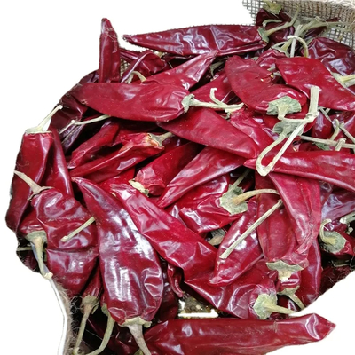 Lezzetli Kuru Guajillo Çili Soslar için A Sınıfı Nem 8%-12%