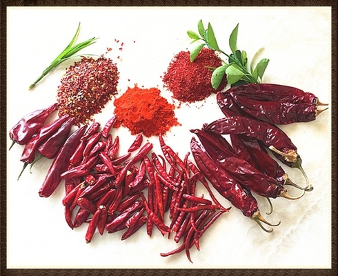 Nem % 8 - % 12 Kurutulmuş Guajillo Çili Kırmızı Bütün / Stik