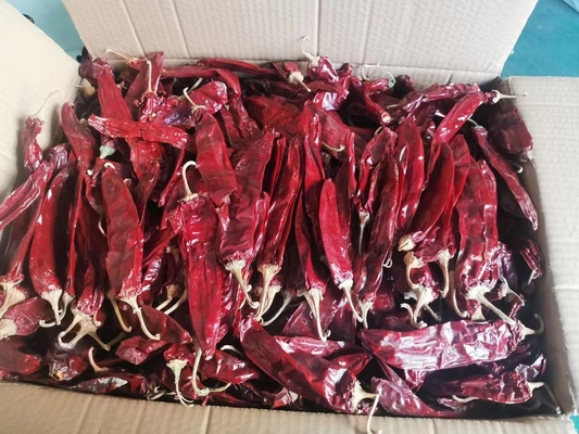 Kuru çililer ile yemeklere biraz ısı ekleyin 500SHU 20-25cm