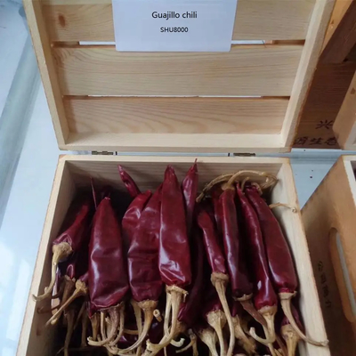 Keskin Aromalı Guajillo Çili Fındıkları