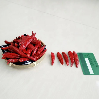Yuvarlak Tianjin Kırmızı Çililer Lezzetli Çin yemekleri için bir pantry temel 100g
