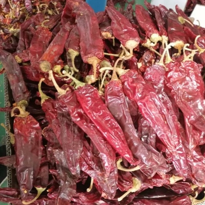 İş ihtiyaçlarınız için kurutulmuş biberlerin üzerinde tek bitki ve baharat