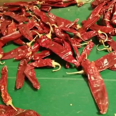 İş ihtiyaçlarınız için kurutulmuş biberlerin üzerinde tek bitki ve baharat