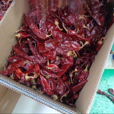 Bileşenler Paprika Biber Chili Capsicum Xinjiang Chili Acılık Derecesi 500SHU