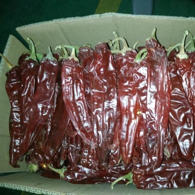 Gıda Malzemeleri İşletmeniz İçin Kuru Kırmızı Paprika Fındıkları