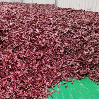 Gıda Malzemeleri İşletmeniz için 1000 cfu/g Paprika Pods