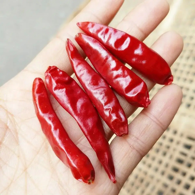 Ateşli Kırmızı Kurşun Çili Tek Bitkisel Baharat