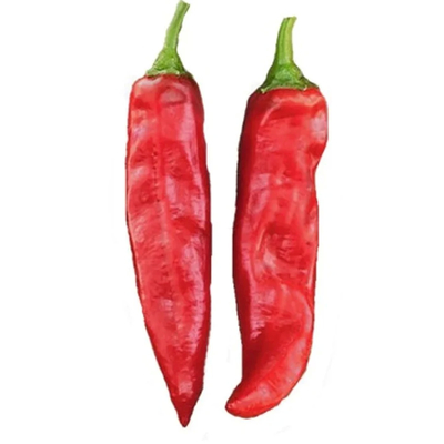 Hafif sıcaklık seviyesi ile tüm doğal kuru paprika biberleri