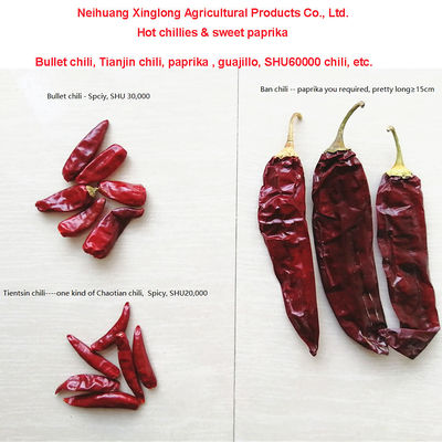 1 Yıllık raf ömrü Tatlı Paprika Biber Kurutulmuş Kırmızı Çili Katkı maddesi Yüksek Kaliteli Gıda Bileşeni