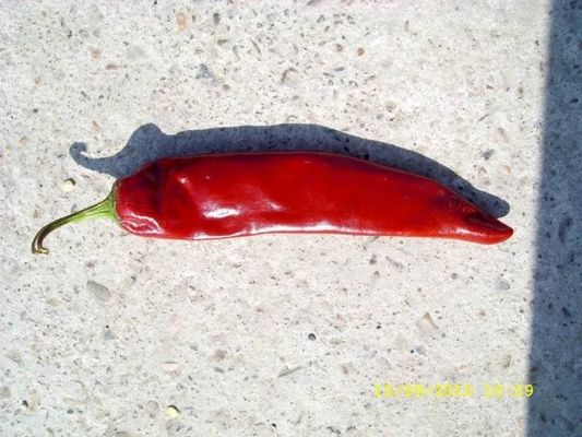 Baharat Kurutulmuş Guajillo Chili 180 ASTA Red Hot Chili Peppers