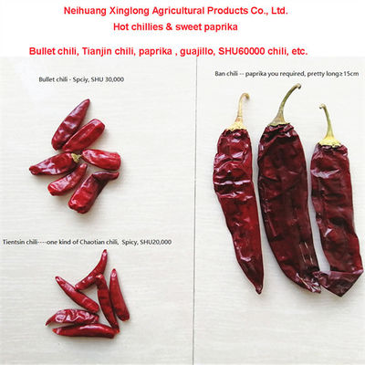 Sıcak Acı Kurutulmuş Kırmızı Biber 10-25Kg/Çanta 000-20 Scoville