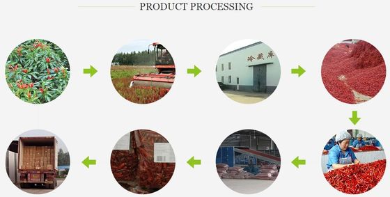Yuvarlak Kırmızı Tianjin Kuru Çili baharatlı