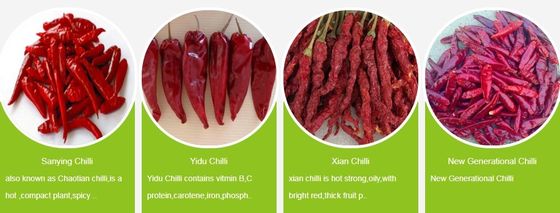 100 gram doğal yuvarlak Tianjin kırmızı biber