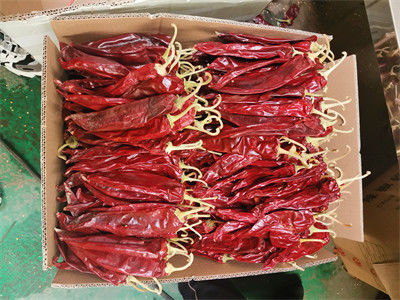 Yüksek Kalite Yeni Ürün Çinli Paprika Tomurcukları saplı, saplı/sapsız tatlı paprika, kuru kırmızı biberli