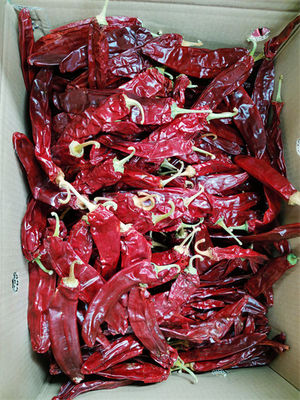 Sıcak Acı Kurutulmuş Kırmızı Biber 10-25Kg/Çanta 000-20 Scoville