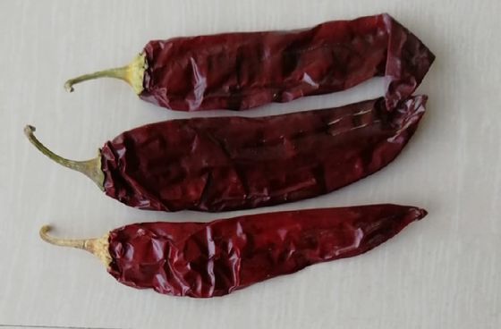 Kırmızı Kuru Paprika Biberleri baharat ve baharat tozu gıda malzemeleri için