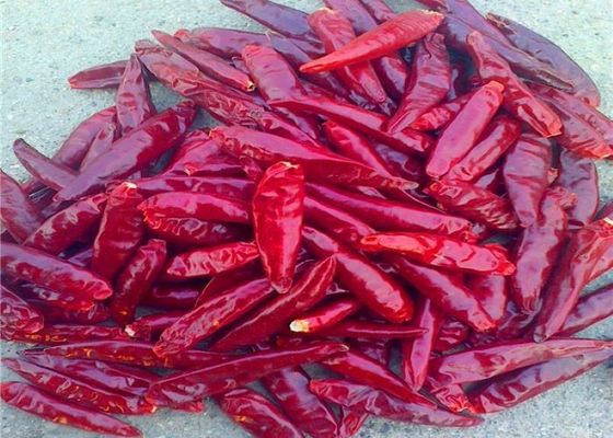 Yenilebilir Tianjin Kırmızı Şili Yeni Mahsul Saplı Kurutulmuş Arbol Chili Peppers