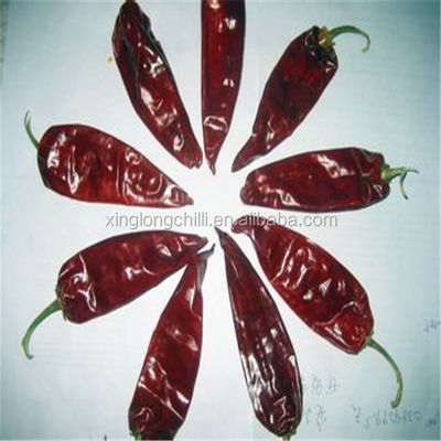 Otantik Yidu Chili Culinary 80ASTA Kuru Kırmızı Biber Pigmentsiz
