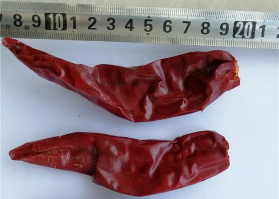 Salsas Kurutulmuş Guajillo Biber Baharatlı Lezzet 11cm Kırmızı Jinta Biber Biber