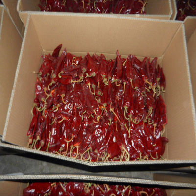 XingLong Kurutulmuş Kırmızı Biber %8 Nem Pençesi Kurutulmuş Biber Biber