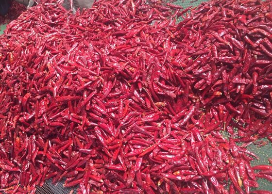 %100 Saf Kurutulmuş Arbol Biber 70mm Tien Tsin Güneşte Kurutulmuş Kırmızı Biber