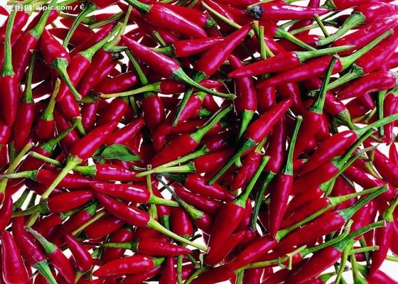 Tianjin Kırmızı Biberleri Çin'den gelen gerçek baharatlı lezzet