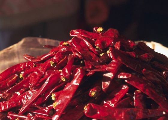 Otentik Çili Biberleri Erjingtiao 8-12% Nem ve Hava Kurutma İşlemi ile Kuru Çili