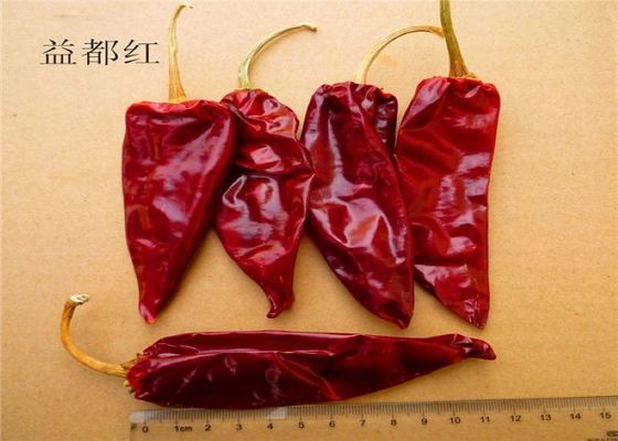 12cm Kurutulmuş Baharatlı Biber Keskin Kurutulmuş Kırmızı Biber Baklaları %12 Nem