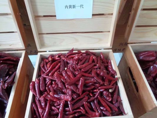 7CM Kurutulmuş Uzun Kırmızı Biber 50000SHU Susuz Tianjin Chili ISO