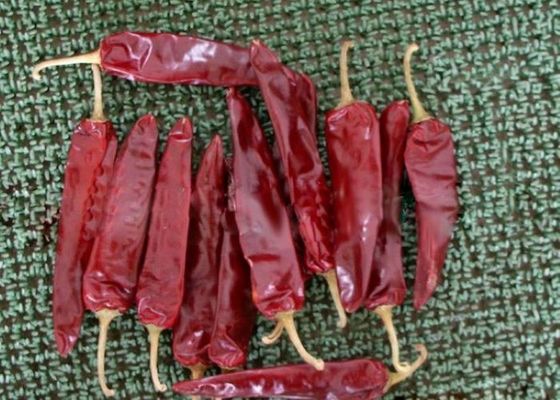 Maket numarası Etiketleme ve tanımlama Kurutulmuş kırmızı biber nem ≤14% ürünler için