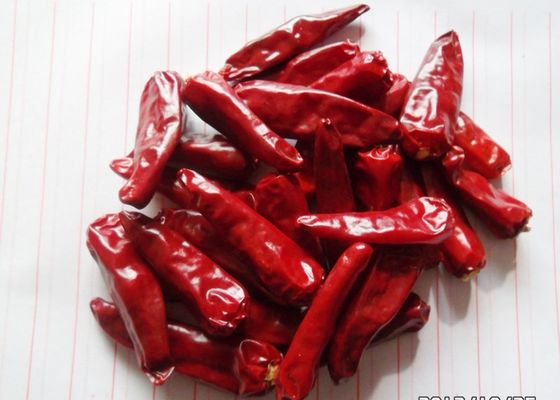 C Vitamini Kırmızı Jinta Çili Biberi