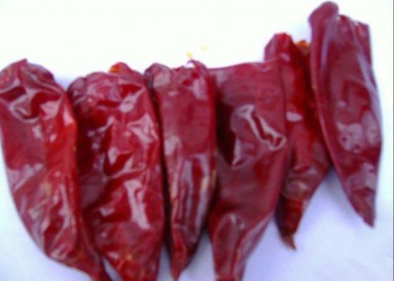 HACCP Kurutulmuş Paprika Biber Tek Otlu Sapsız Kurutulmuş Bütün Kırmızı Biber