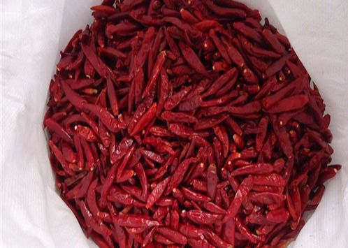 HACCP Tianjin Kırmızı Biberler Cayenne Kurutulmuş Biber Bölmeleri %12 Nem