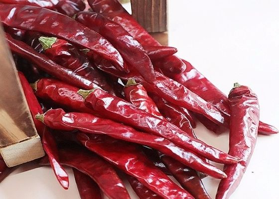 Küçük Tianjin Kırmızı Biber 100g Baharatlı Aromalı