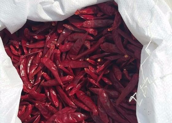 Baharatlı Küçük Kırmızı Tianjin Çili C Vitamini Yüklü Besleyici ve Lezzetli