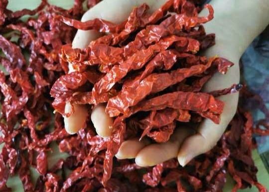 Baharatlı Koku Xian Chilli 15CM Güneşte Kurutulmuş Kırmızı Biber 10000SHU
