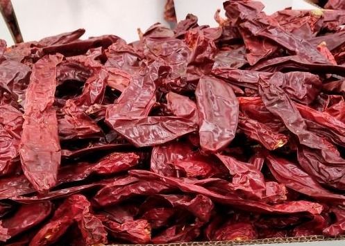 500SHU Çorba Sosları İçin Sıcak Kırmızı Jinta Chili