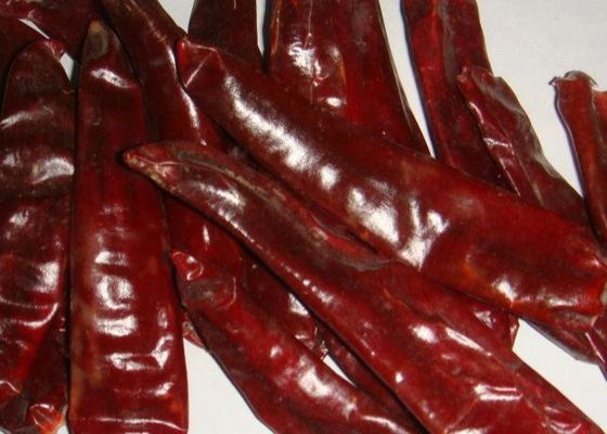 Orta Sıcak Kurutulmuş Guajillo Chili Doğa Kırmızı Şili Biber