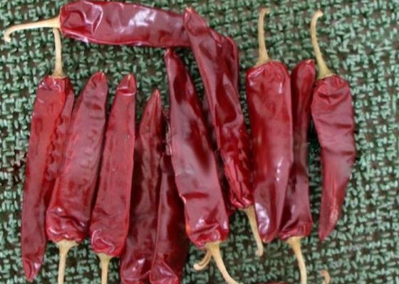 Meksika Yemeği Kurutulmuş Guajillo Biber 5000SHU Kuru Kırmızı Biber Paprika