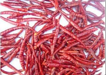 Yüksek Beslenme Değeri Çili Biberle Yapılmış Kırmızı Kuru Biber Lezzetli ve Sağlıklı